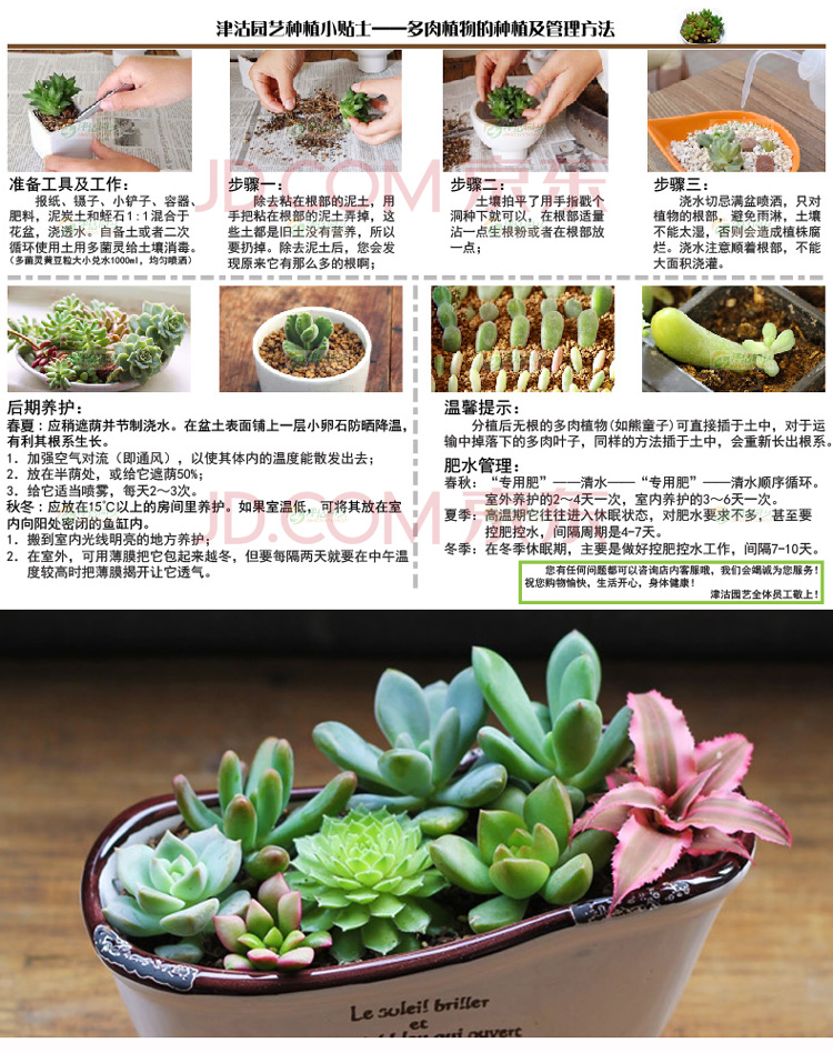 京东商城 多肉植物组合种植套餐 斜浴缸花盆营