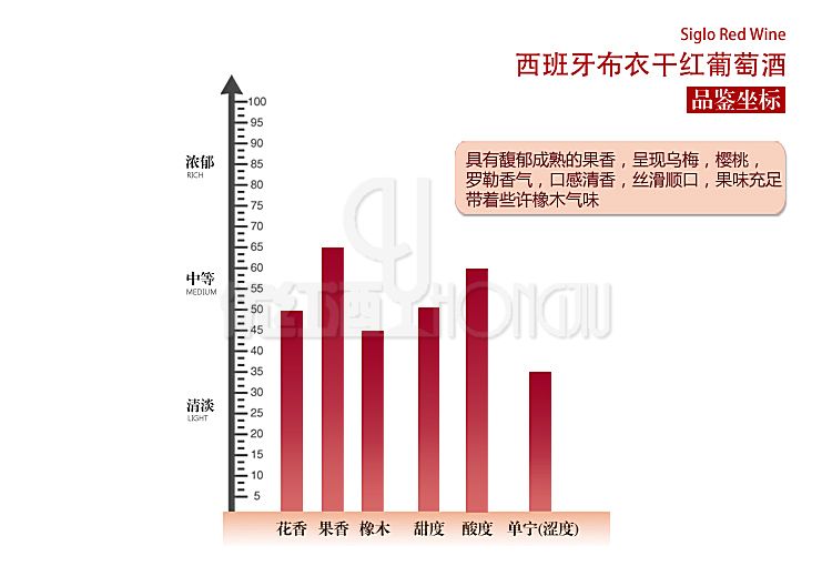 西班牙原瓶进口红酒 西班牙布衣干红葡萄酒AG