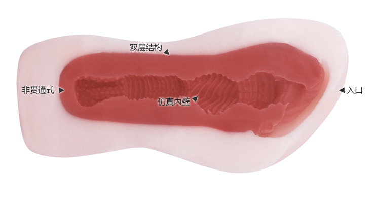 日本EXE原装进口 LAYERS <em>西川ゆい</em> EXEX-0