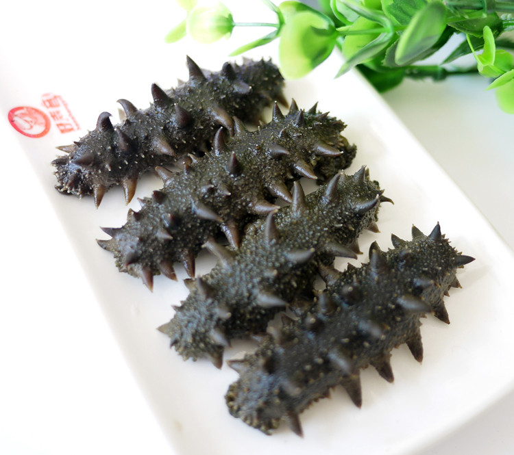 百盛园丁财运来 原生态半干海参 野生辽刺参 大