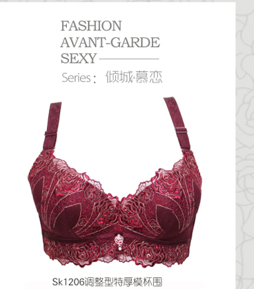 <em>货到付款</em> 莎莲妮精品内衣 高贵刺绣聚拢<em>特厚</em>上