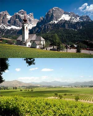 法国维纳斯庄园干红葡萄酒750ml(6瓶套装)