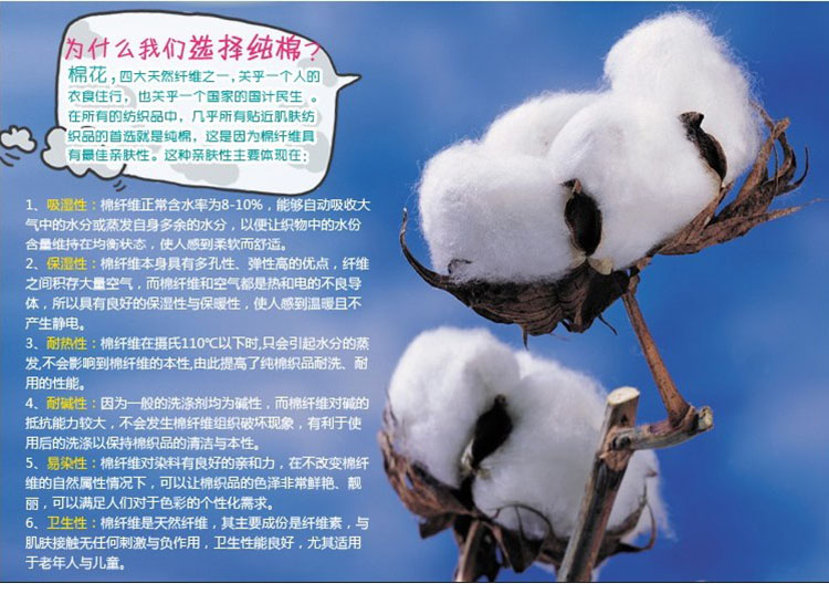 芬1700哪里买卖比较好的 <em>蝶安芬内裤女中腰</em>价