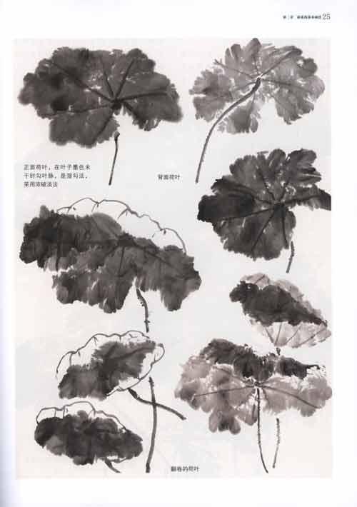 名家教你画荷花图片