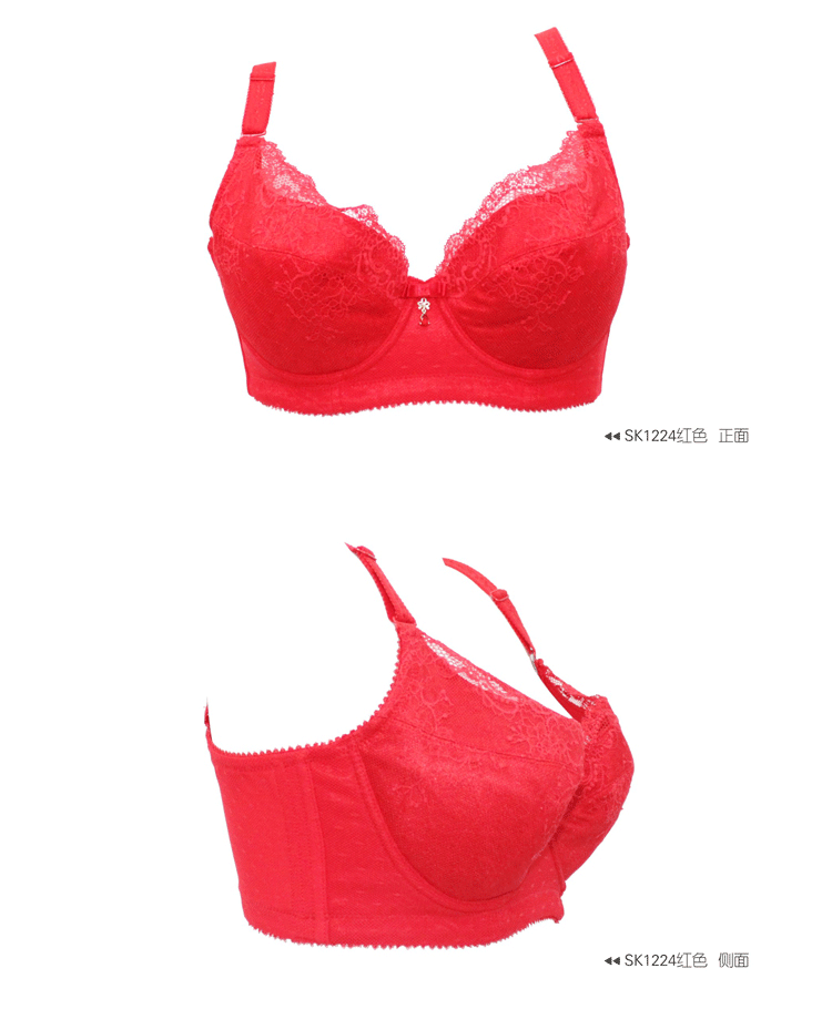 年终热卖 莎莲妮女士<em>聚拢</em>内衣 性感蕾丝侧收副