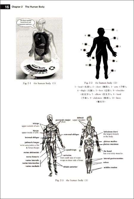 motor neuron changes in als