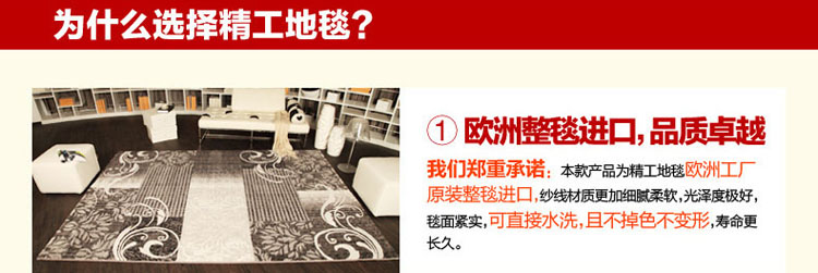 精工 时尚现代简约客厅沙发茶几地毯  卧室床边毯 门厅地垫 进门脚垫 梦幻之都6634b 200*290cm