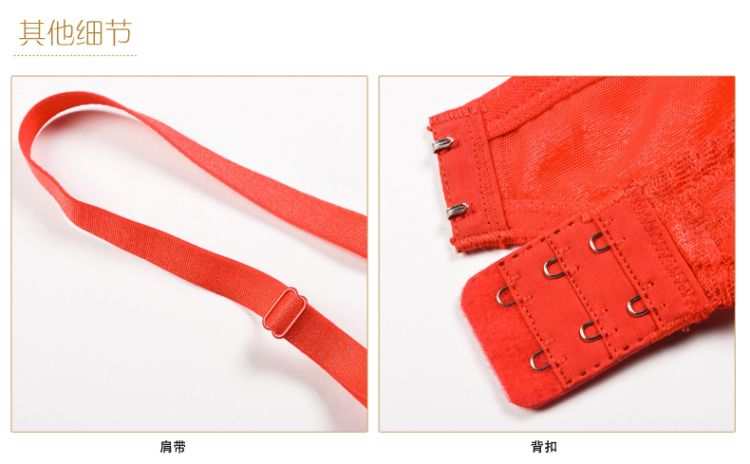 ALDOLA雅黛丽<em>3/4号</em>厚模杯U型蕾丝边聚拢收