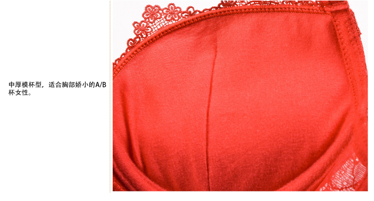 ALDOLA雅黛丽<em>3/4号</em>厚模杯U型蕾丝边聚拢收