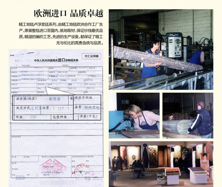 精工 时尚现代简约客厅沙发茶几地毯  卧室床边毯 门厅地垫 进门脚垫 梦幻之都6634b 200*290cm