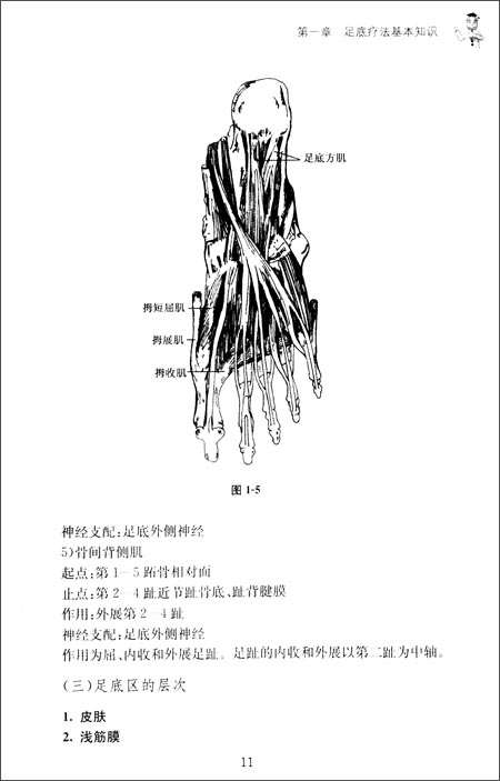 起上连中枢神经系统,下接其他内分泌腺的桥梁作用