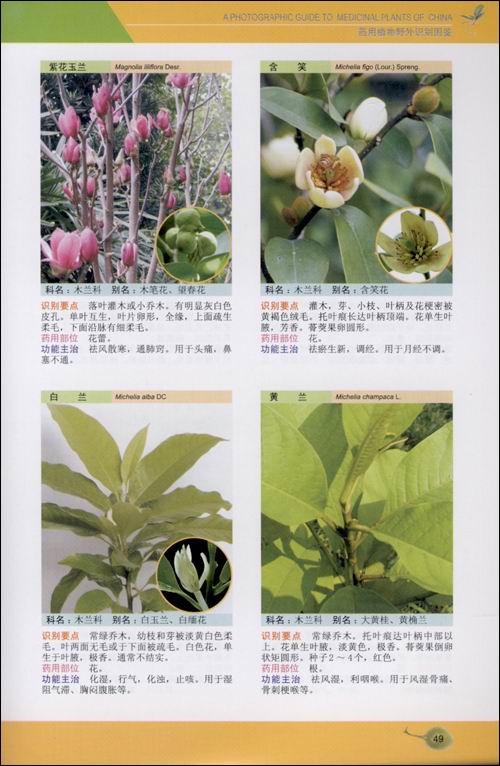 第一章 药用植物野外识别方法