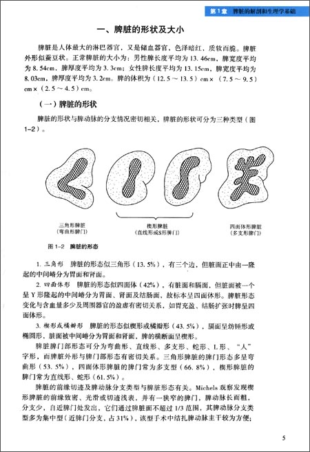 人胚第6～7周时,在脾的间质细胞之间可见有造血干细胞,幼红细胞和幼巨
