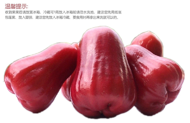 果360 泰国进口 莲雾1斤在京东商城的价格走势