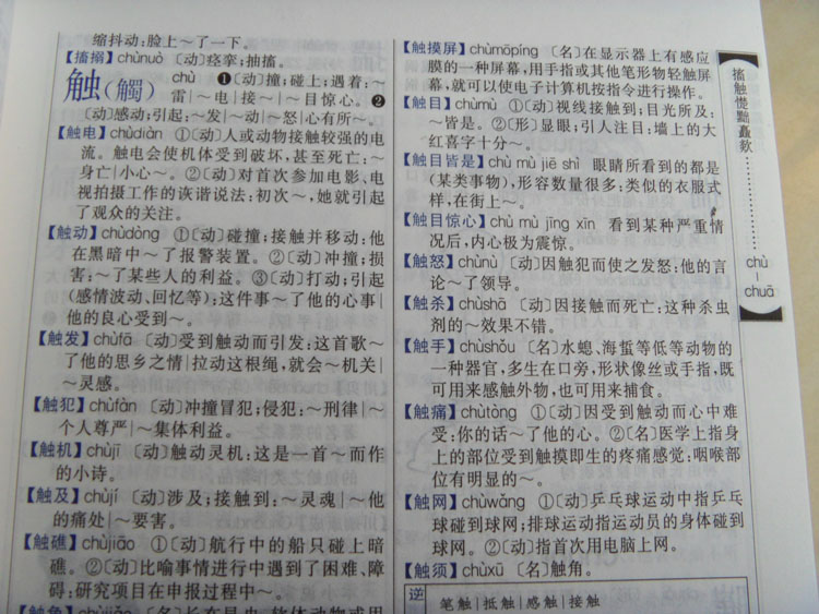 当代汉语词典 双色修订版 大32开厚本_图书杂