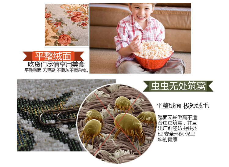 
                                                            易普美家 入户门垫 地垫脚垫 地中海美式欧式 机洗客厅地垫 ES204米黄 500MMx800MM                