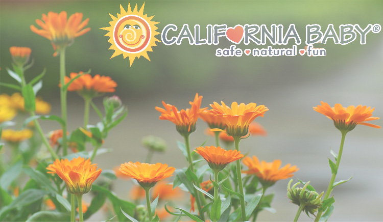 美国原装 California Baby 加州宝宝 感冒泡泡沐浴液预防流感 - 京东商城 - 商旗网(移动版)