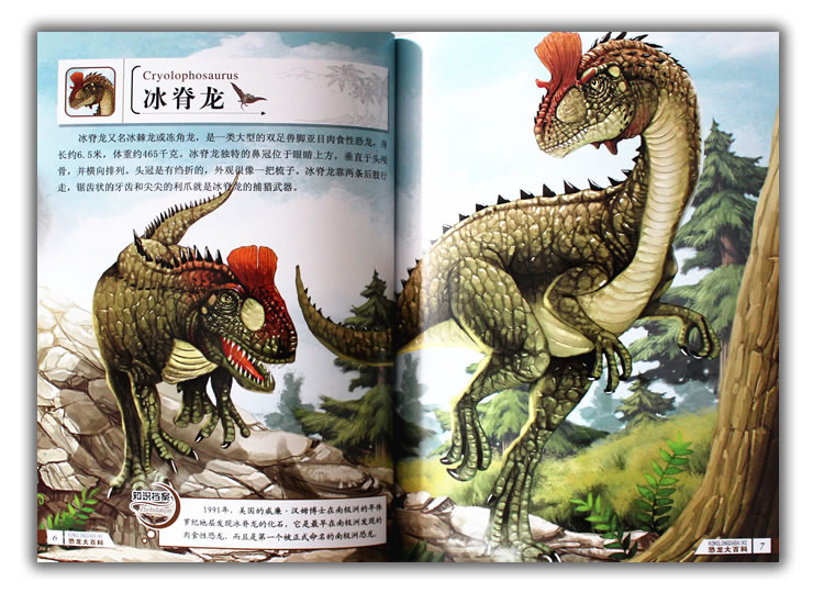 我的第一本恐龙百科全书 恐龙大百科 恐龙之谜 恐龙探秘 恐龙灭绝