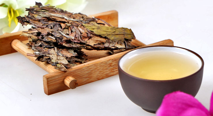 绿雪芽 福鼎白茶 9年陈韵意会饼 白茶饼 357克 价格\/绿雪芽 福鼎白茶 9年陈韵意会饼 白茶饼 357克产地,新品系列图片,专卖店批发查询信息 - 51比购返利网购物比价