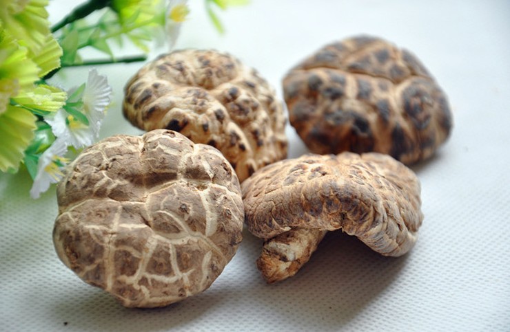 土特产野生山珍干货食用菌食品荣飞椴木花菇特