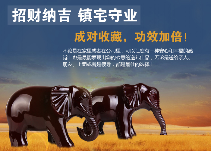 蘑菇是自养还是异养_人均自养有节是意思