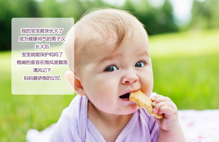 日本原装进口贝亲pigeon婴儿辅食~宝宝零食磨
