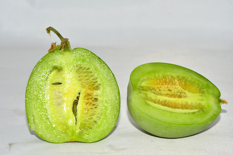 百宝源 山东寿光新鲜 脆皮绿香瓜 水果 翠皮 3斤