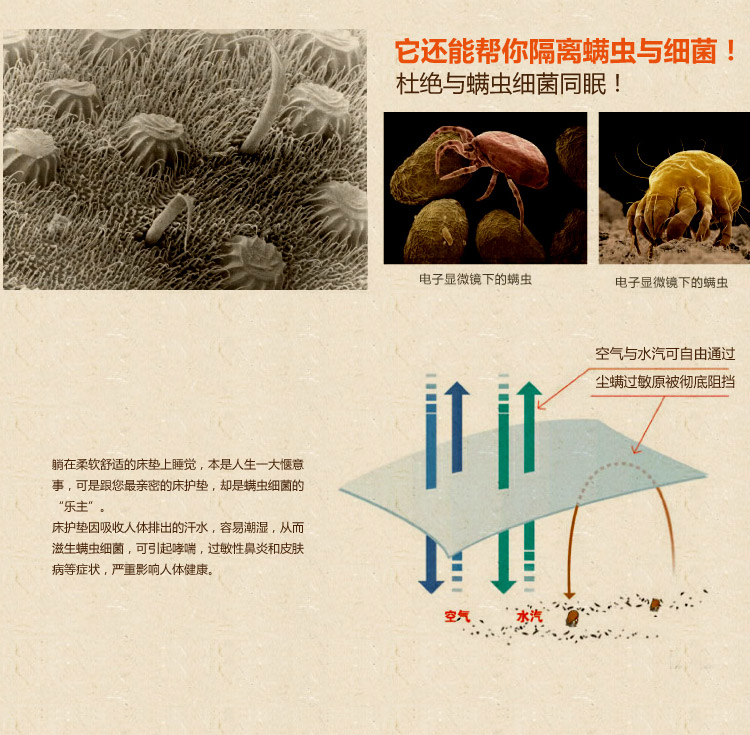 
                                        雅鹿家纺床垫床笠加厚夹棉席梦思保护套/罩 床护垫 驼色 180cmx200cm                