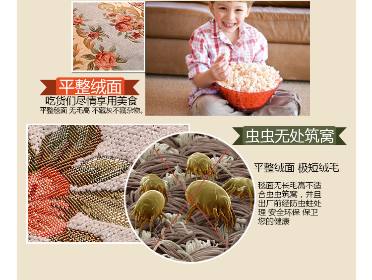 
                                        易普美家 卧室床边客厅茶几地垫 欧式布艺环保薄美式田园电脑椅飘窗垫 ES201咖啡 900MMx1400MM                