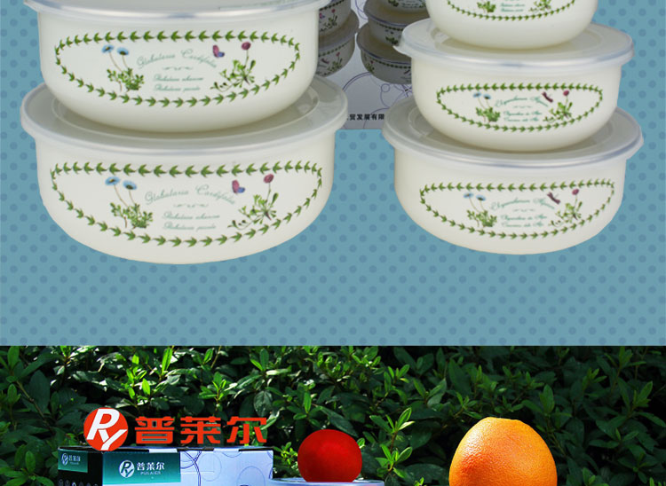 普莱尔 珐琅瓷储存碗搪瓷保鲜冰泡面五件套 7300011 春天花 10-18cm