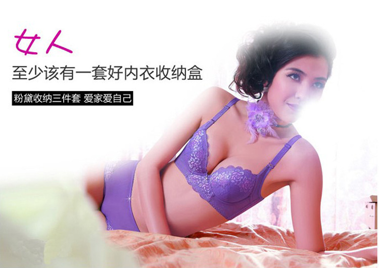 YM优慕 粉黛佳人有盖内衣<em>文胸</em> 收纳<em>整理</em>盒 三