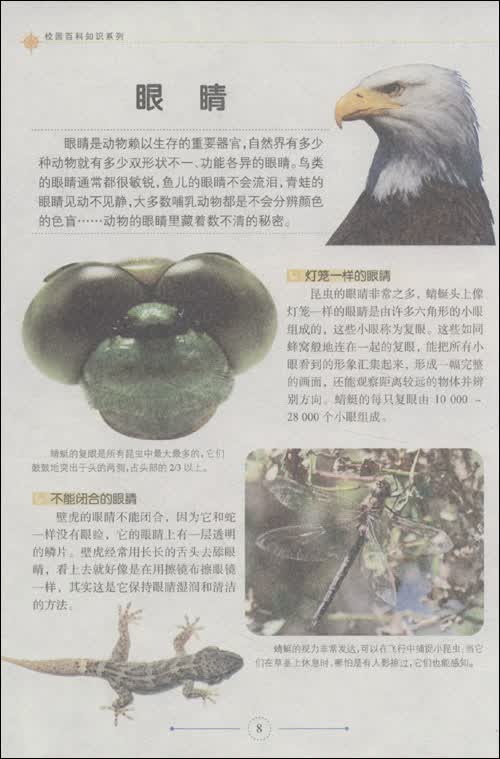 (z19)校园百科知识系列:动物百科知识(正版)