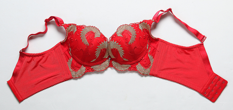 【京东卡 <em>换文胸</em>】爱的诱惑磁疗网纱布内衣 华