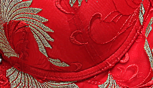 【京东卡 <em>换文胸</em>】爱的诱惑磁疗网纱布内衣 华