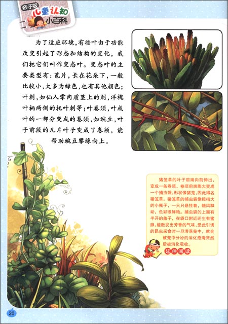 神奇植物儿童认知小百科亲子版
