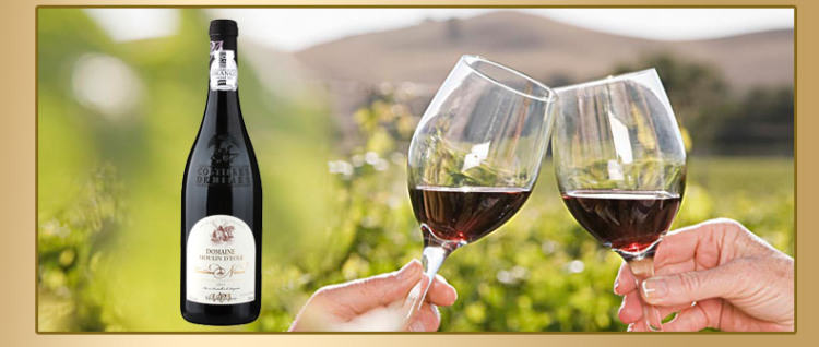 整箱法国橙色葡萄酒大赛银奖风之磨坊干红葡萄