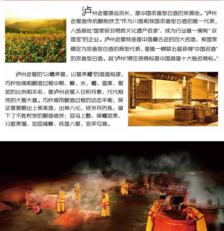 中酒网 泸州老窖 38度精制二曲 500ml 浓香型白酒