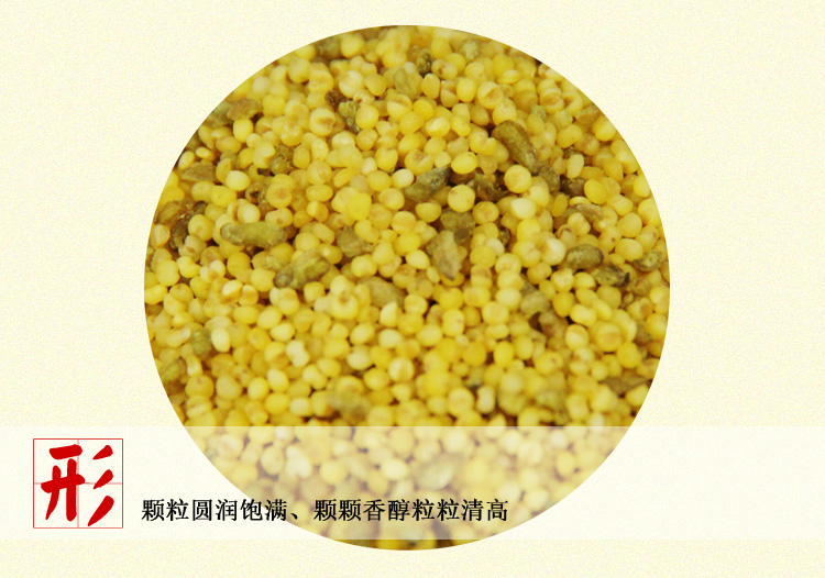 雁门清高 黄金粥礼盒 1800g 苦荞加小米 京品年