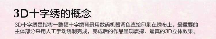 
                                                            美岸 新款5D十字绣抱枕 印花轿车抱枕 玫瑰 客厅沙发手工刺绣45*45厘米 浪漫玫瑰                