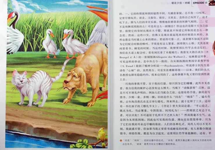 青少版 三国演义 西游记 水浒传 红楼梦 朝花夕