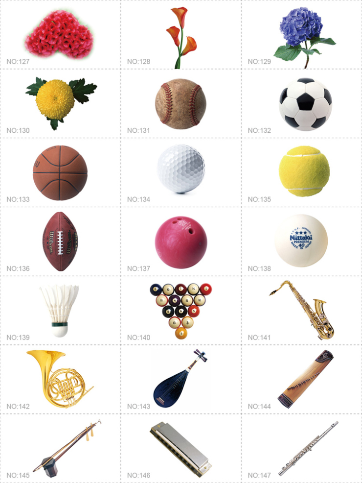 乐优右脑杜曼闪卡 中英图文游戏配对卡 百科配