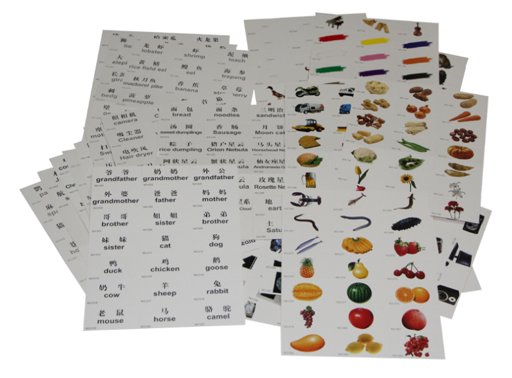 乐优右脑杜曼闪卡 中英图文游戏配对卡 百科配