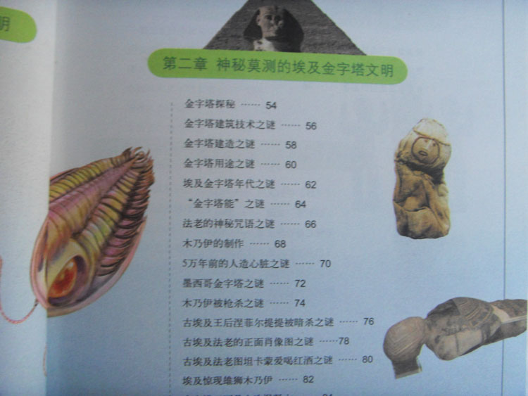 小学生爱读本 探索失落的文明 历史类书籍_图