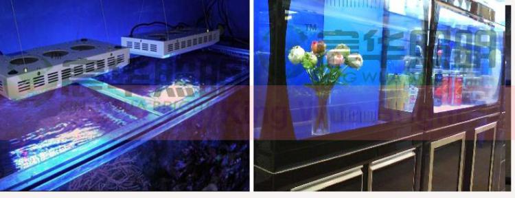 宸华照明LED鱼缸灯 大功率led水族灯照明 77*3 装饰灯 KW-SZ98*3W