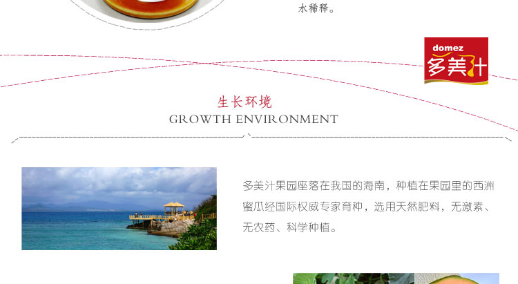 多美汁 新鲜水果海南西洲蜜甜瓜哈蜜瓜一个装