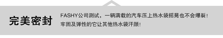 费许(FASHY) 德国原装进口  绒面外套热水袋/暖手袋/冰袋 2升 6530 蓝色