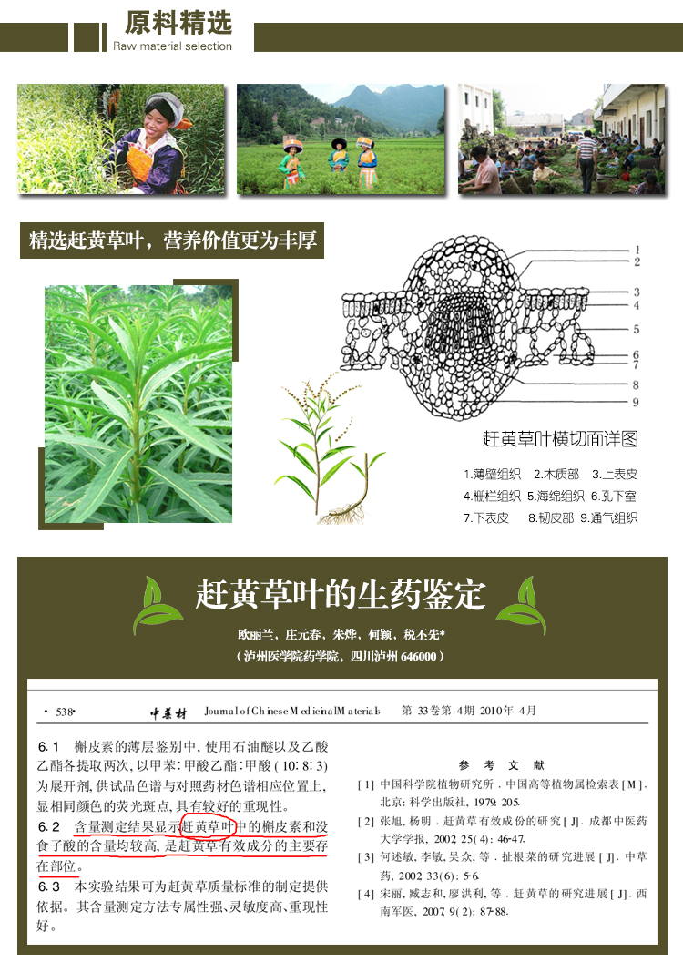 京东商城 【618大促】康迪福古蔺赶黄草叶 解