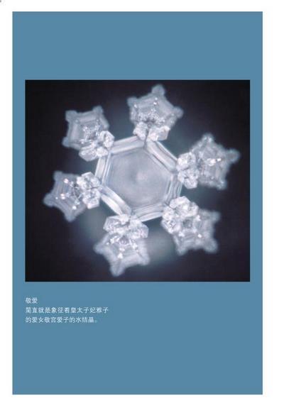 正版包邮书籍 水知道答案3:水能传递爱的力量(震惊世界的水结晶照片