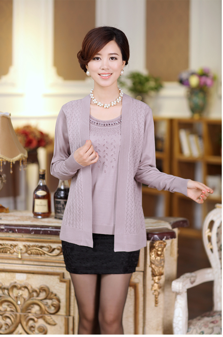 芬典正品2014中年<em>女装春装薄外套</em> 女 春秋中老