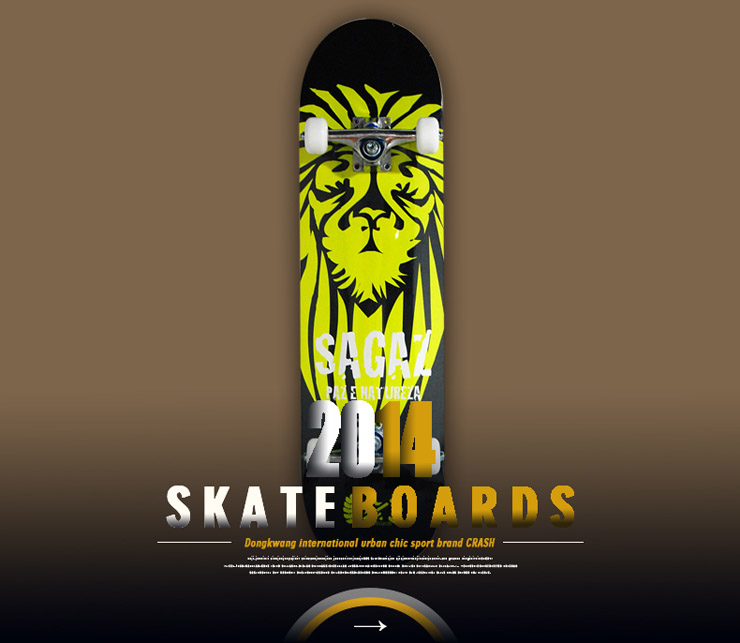 DASTE 公路专业滑板 入门级四轮双翘滑板整板